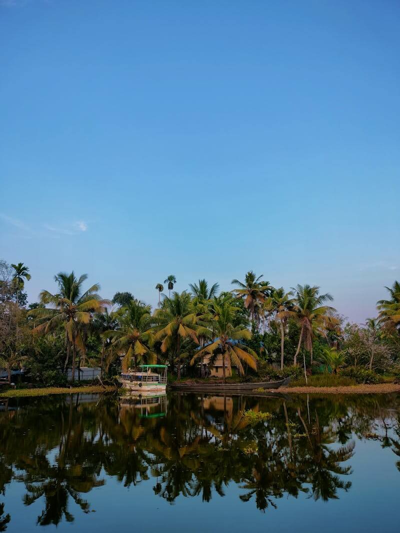 Palm trees and a boat reflecting in Kerala backwaters